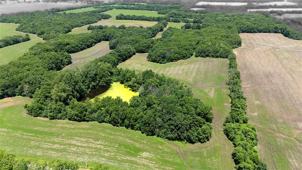 SW County 13007 Road — photo 26