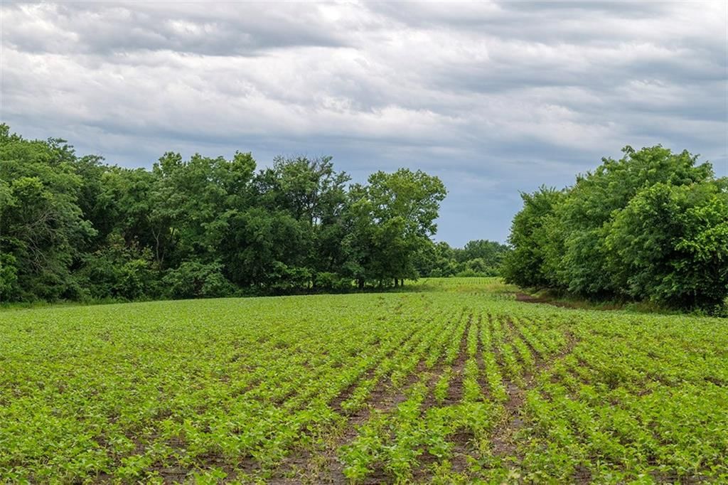 SW County 13007 Road — photo 36