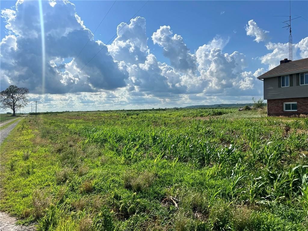 31924 County Road 320 — photo 5