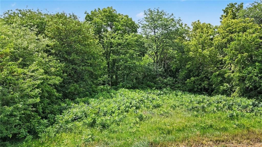 000 Cowsert Road — photo 15