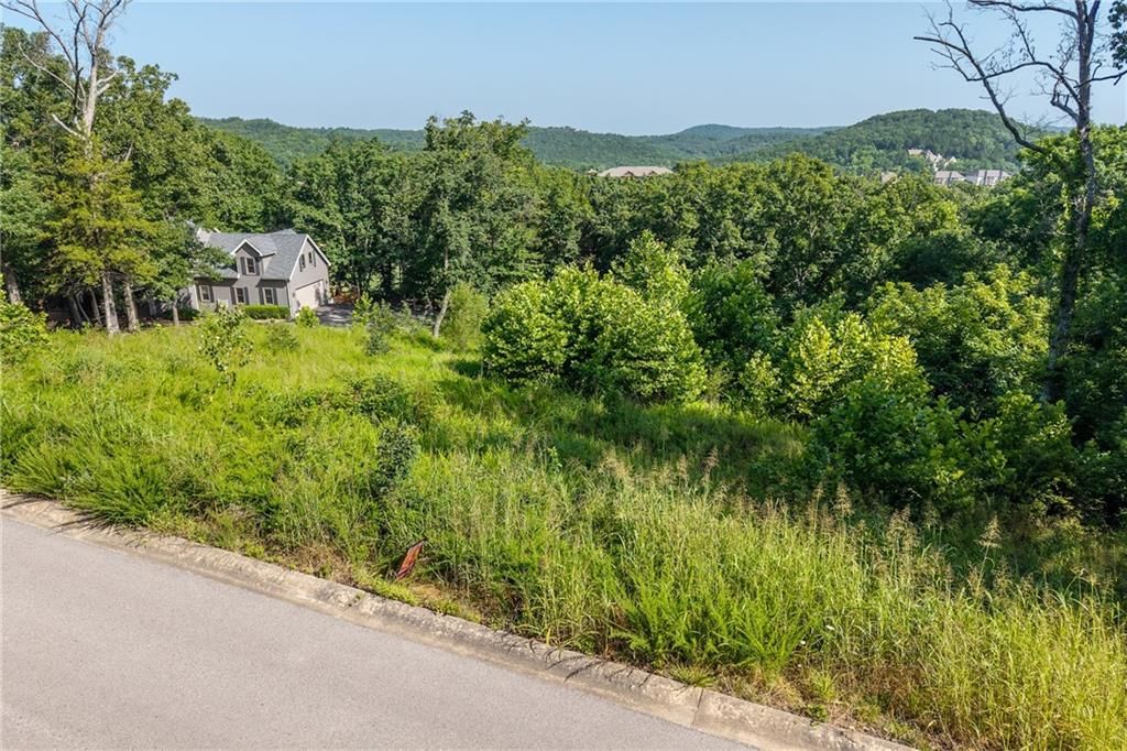 Lot 9 Country Ridge Drive — photo 3