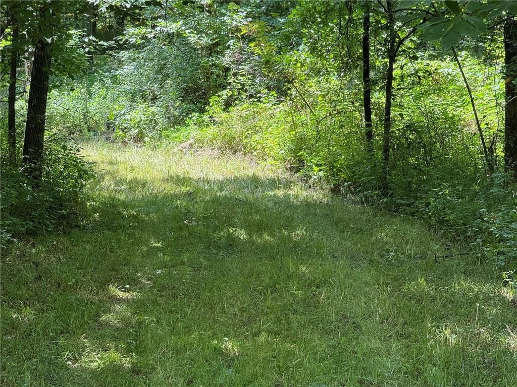 TBD Cedar Avenue — photo 15