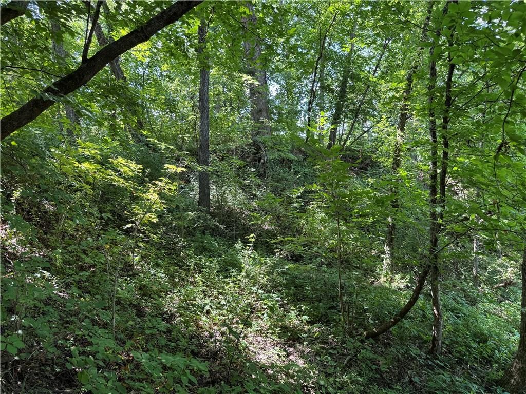 TBD Cedar Avenue — photo 18