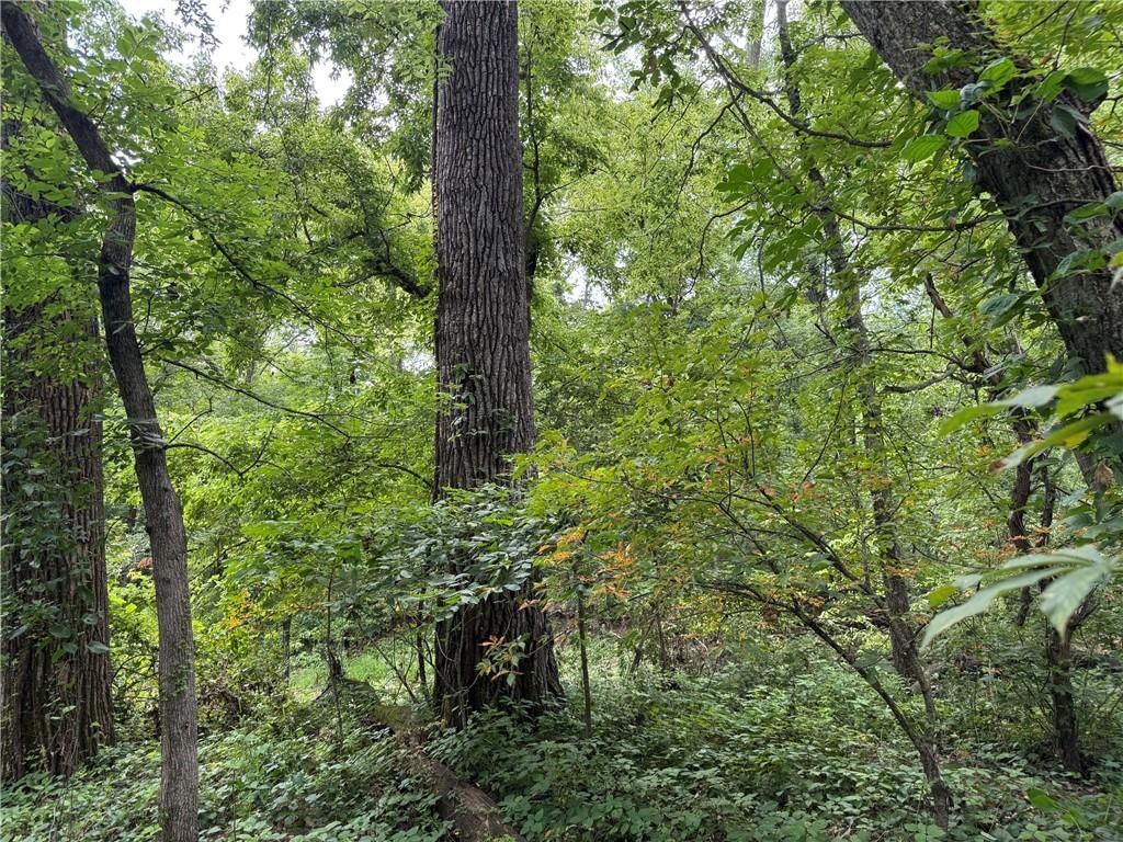 TBD Cedar Avenue — photo 21
