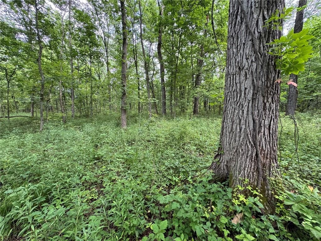 TBD Cedar Avenue — photo 23