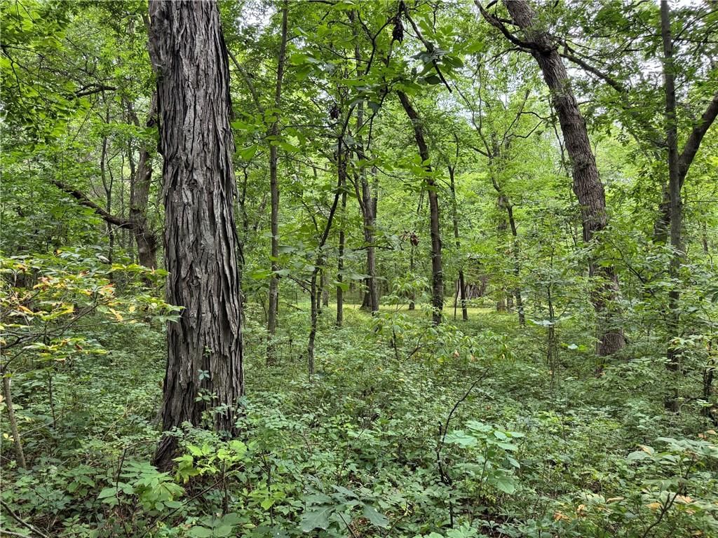 TBD Cedar Avenue — photo 7
