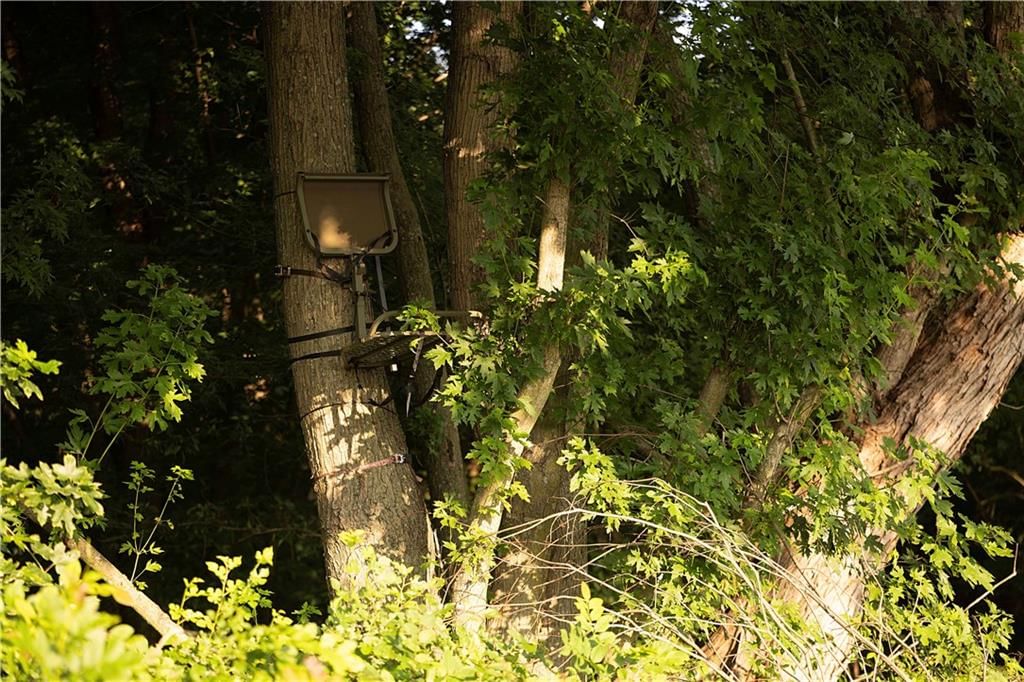 Z Highway — photo 73