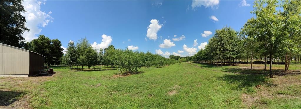 22701 Timberview Road — photo 24