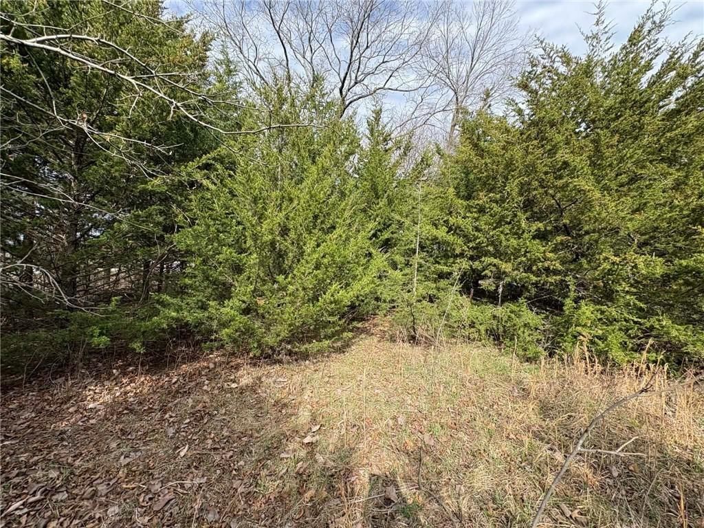 5 Itasca Lane — photo 4