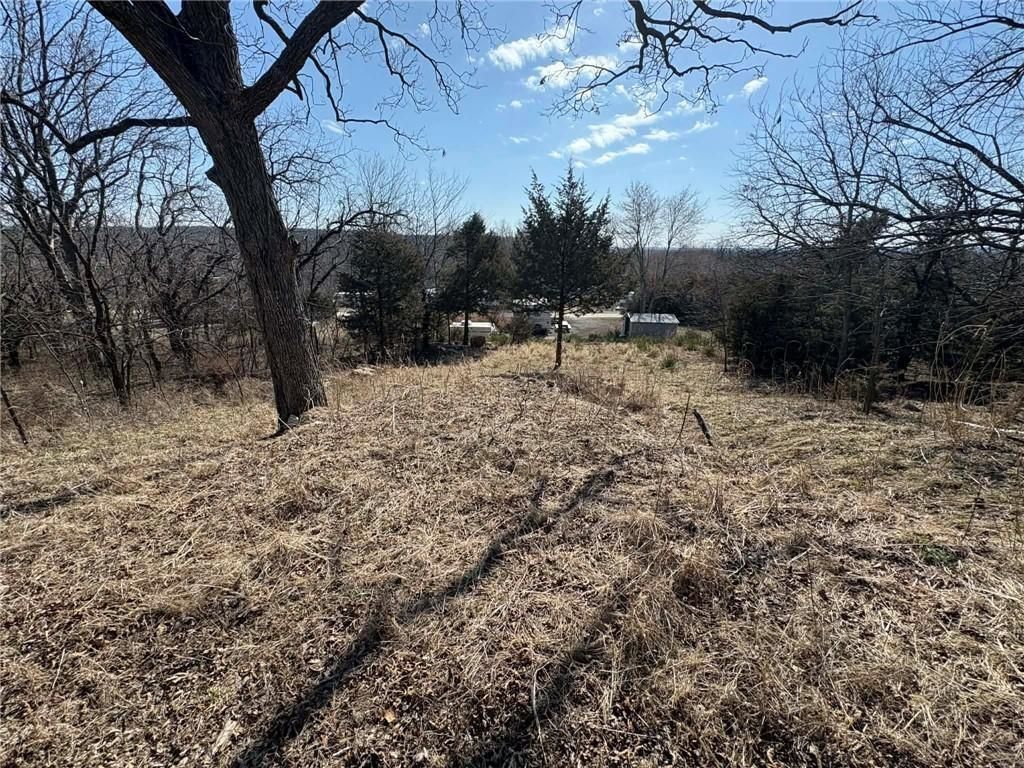 38 Cedar Drive — photo 5