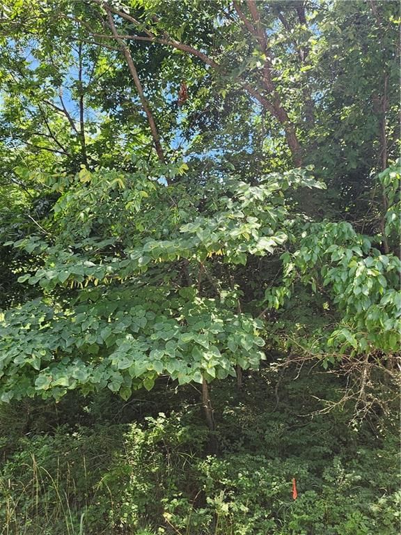 26 N Lakeside Circle — photo 4