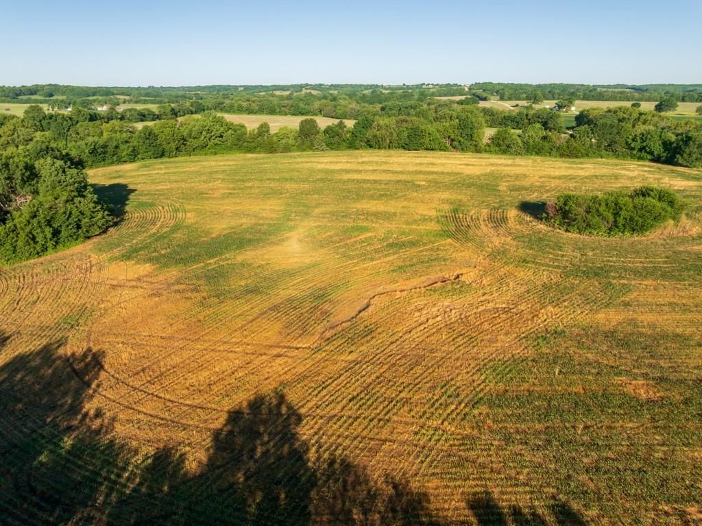 County Road  130 Road — photo 11