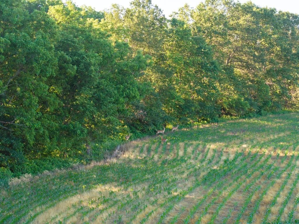County Road  130 Road — photo 34
