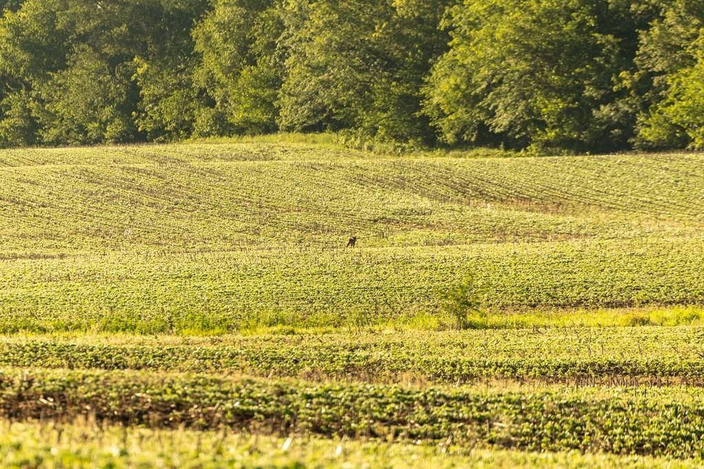 County Road  130 Road — photo 43