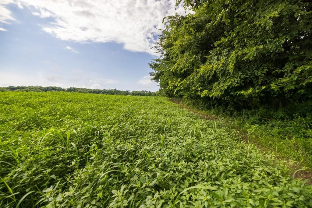 Lot 2 NW 188th Street — photo 13