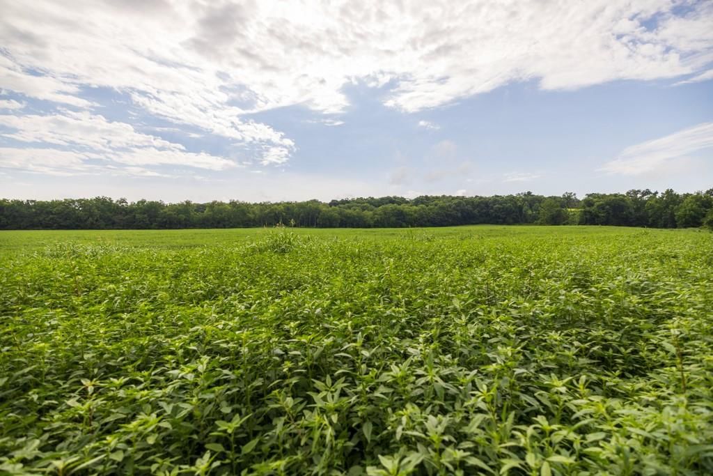 Lot 2 NW 188th Street — photo 14