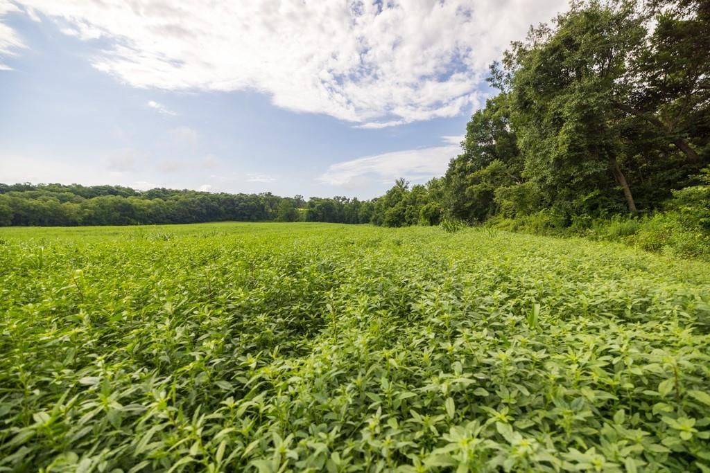 Lot 2 NW 188th Street — photo 15