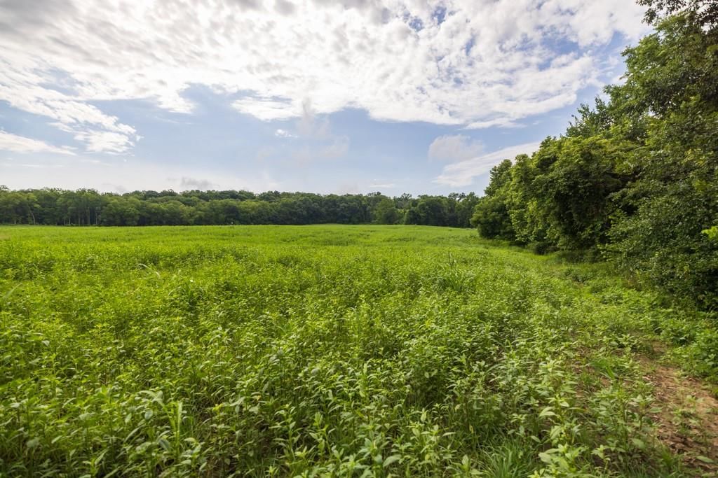 Lot 2 NW 188th Street — photo 17