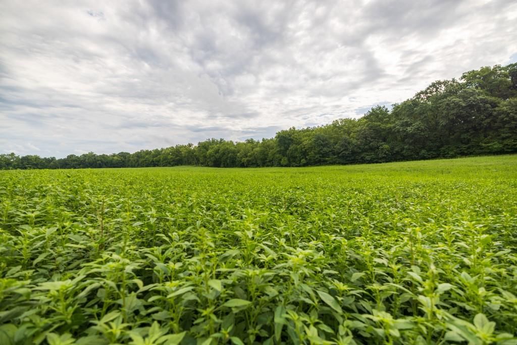Lot 2 NW 188th Street — photo 18