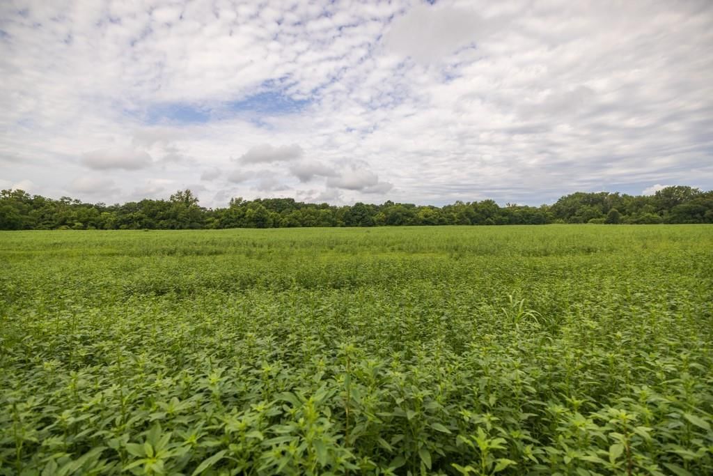 Lot 2 NW 188th Street — photo 22