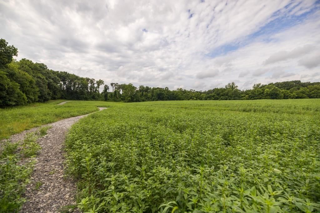 Lot 2 NW 188th Street — photo 23