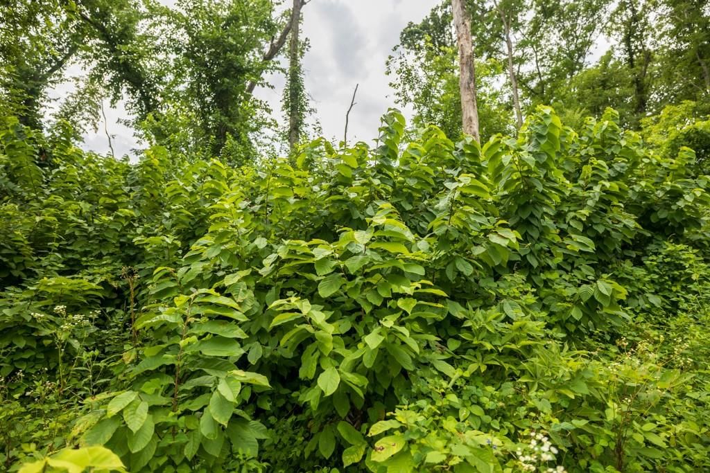 Lot 3 NW 188th Street — photo 26