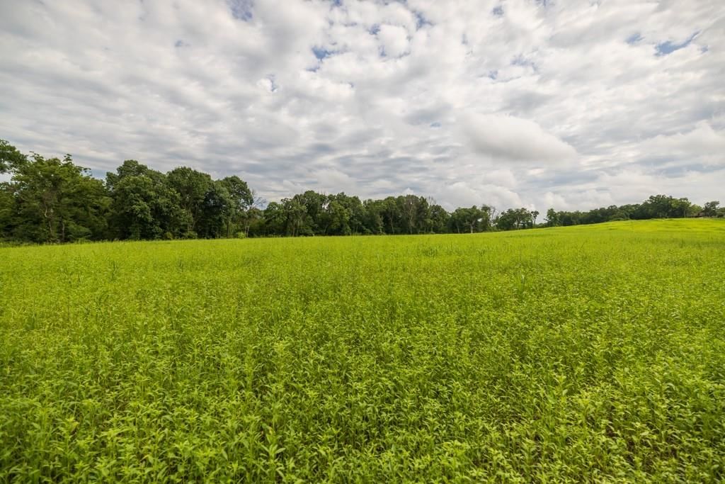 Lot 3 NW 188th Street — photo 34