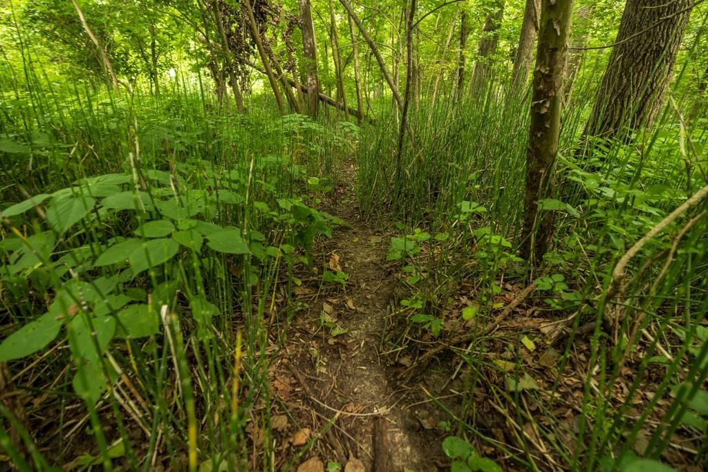 Lot 3 NW 188th Street — photo 35