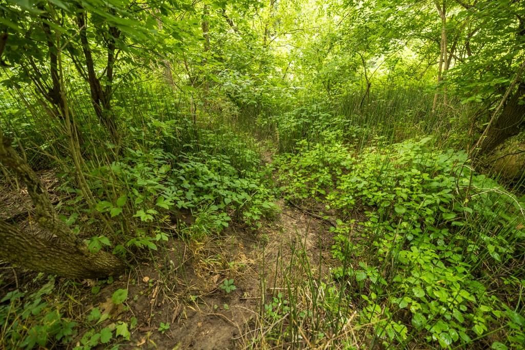 Lot 3 NW 188th Street — photo 36