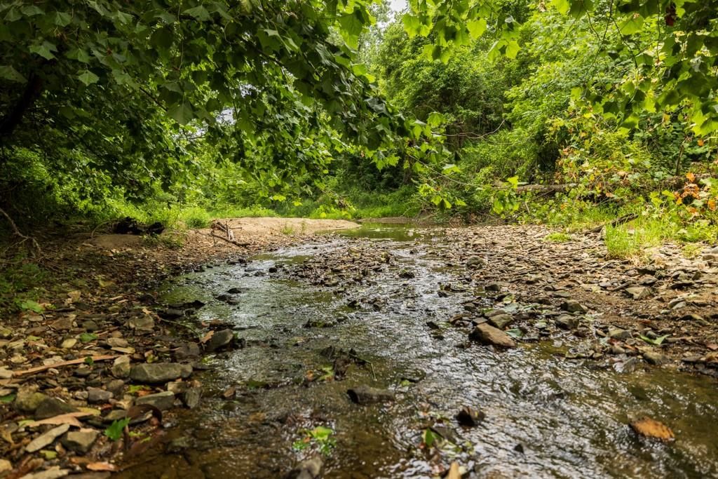 Lot 3 NW 188th Street — photo 38