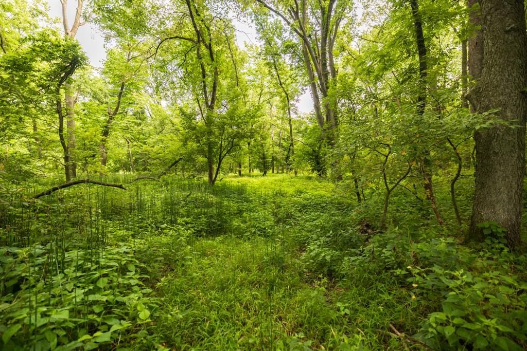 Lot 3 NW 188th Street — photo 41