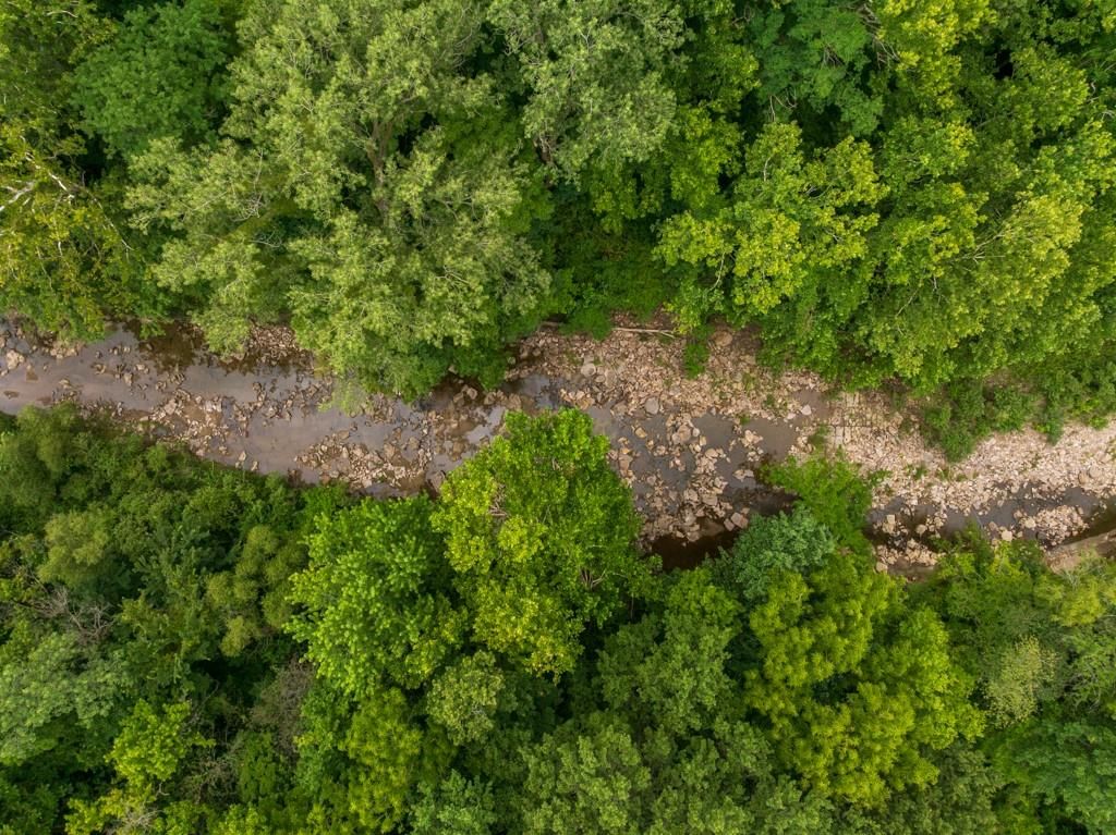 Lot 3 NW 188th Street — photo 9