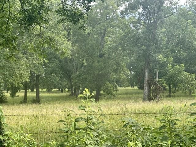 Talley Bend Road — photo 6