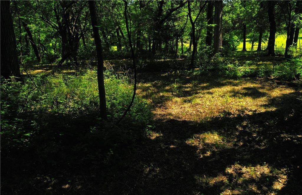 10188 State Route 7 Highway — photo 4