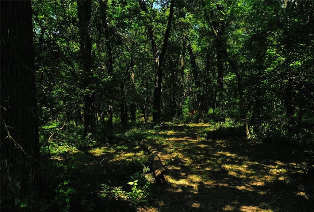 10188 State Route 7 Highway — photo 10
