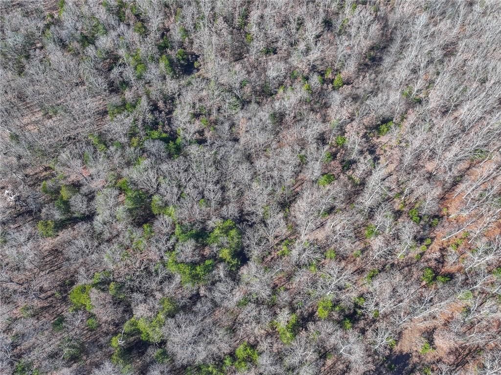 0000 SE 1151 Road — photo 13