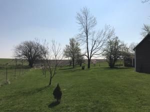 21591 STATE HWY 46 N/A — photo 13