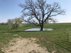 21591 STATE HWY 46 N/A — photo 15