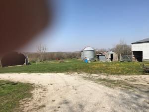21591 STATE HWY 46 N/A — photo 19