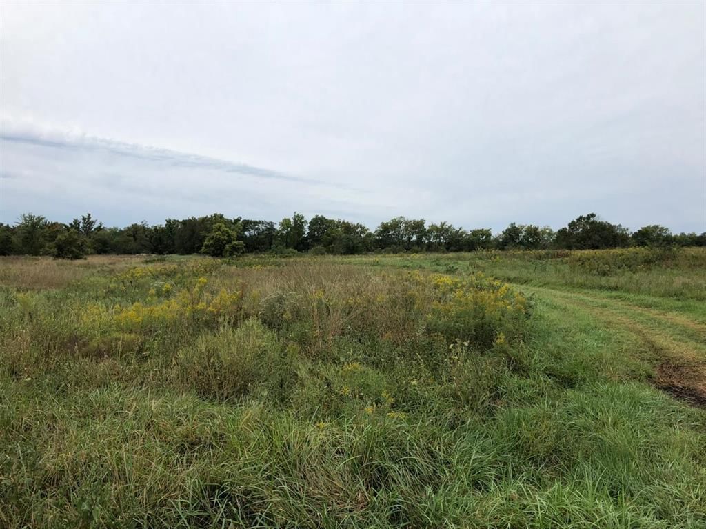 19046 Hwy. 59 N/A — photo 7