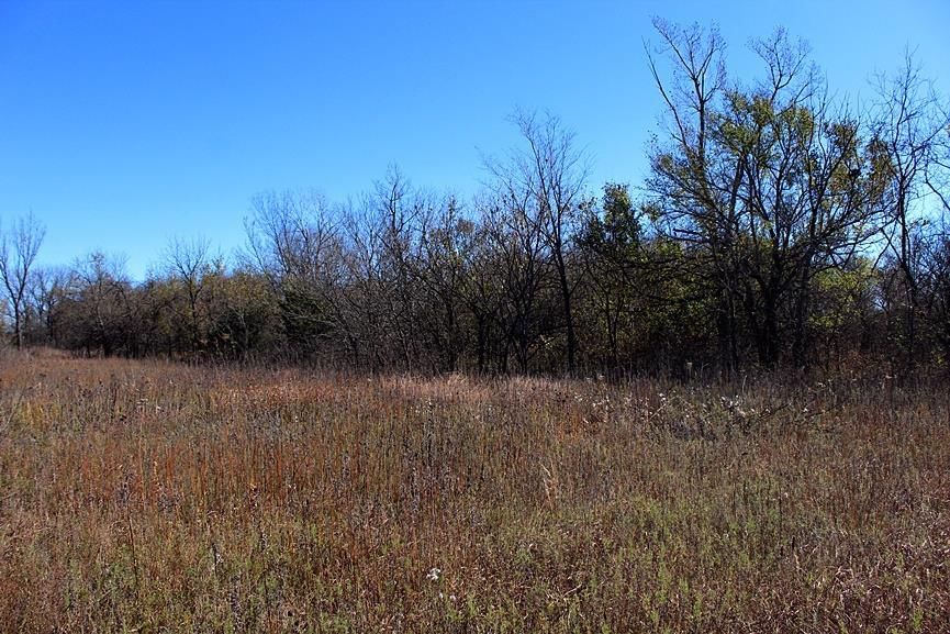2897 US 54 HWY N/A — photo 60