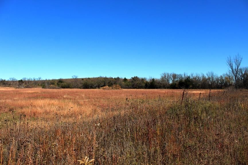 2897 US 54 HWY N/A — photo 61