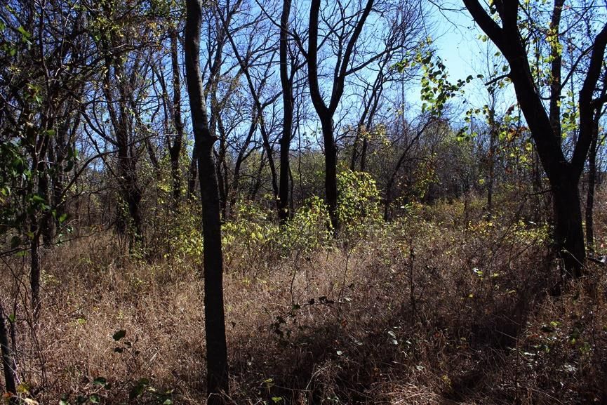 2897 US 54 HWY N/A — photo 62
