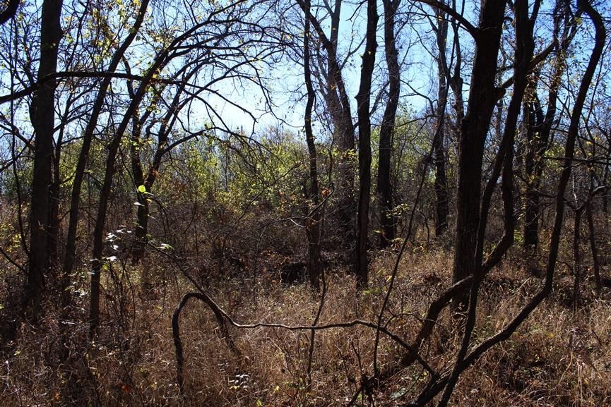 2897 US 54 HWY N/A — photo 63