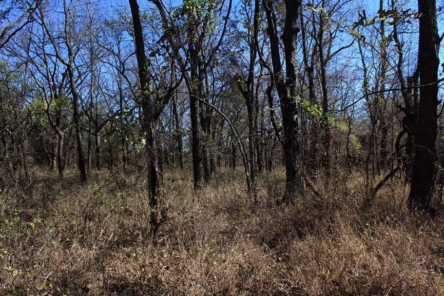 2897 US 54 HWY N/A — photo 64