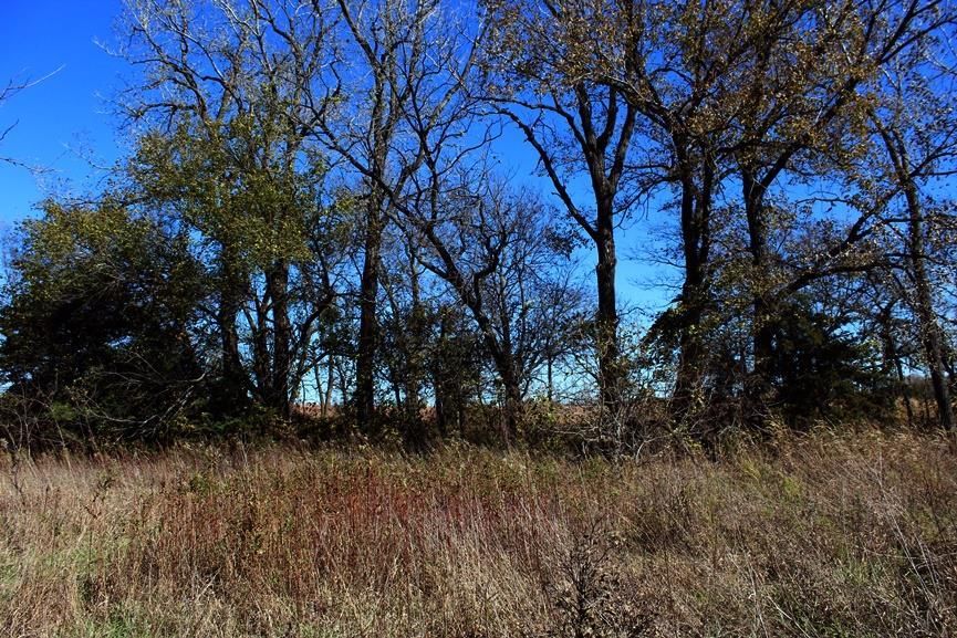 2897 US 54 HWY N/A — photo 67