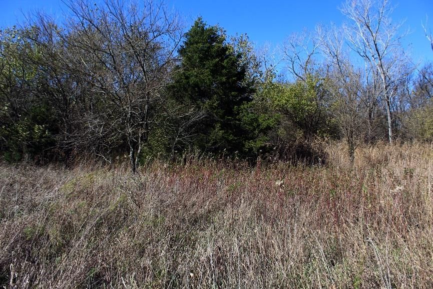 2897 US 54 HWY N/A — photo 70