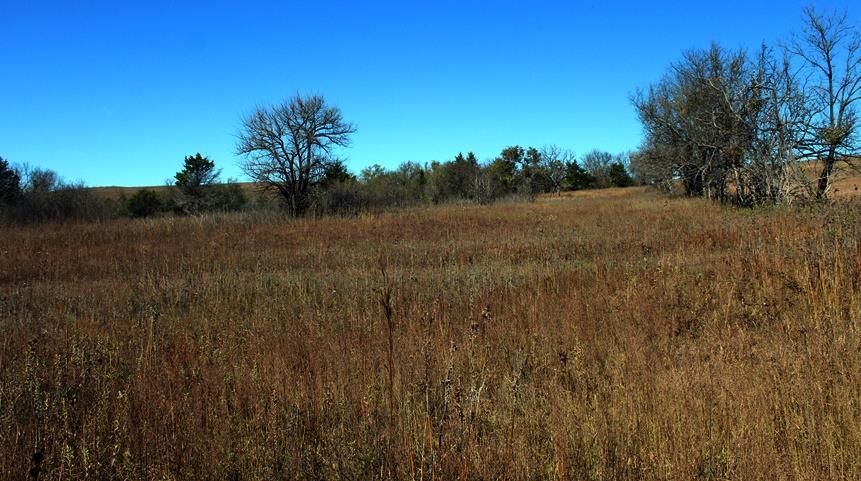 2897 US 54 HWY N/A — photo 71
