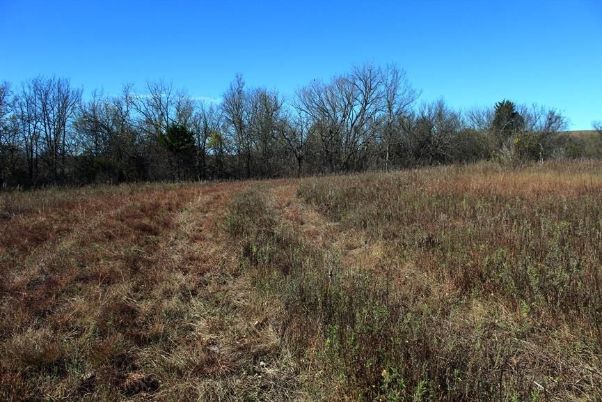 2897 US 54 HWY N/A — photo 72