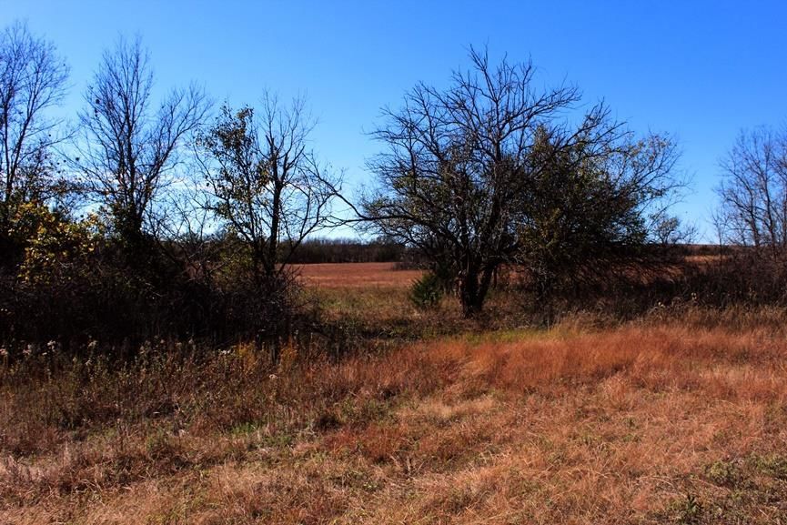 2897 US 54 HWY N/A — photo 73